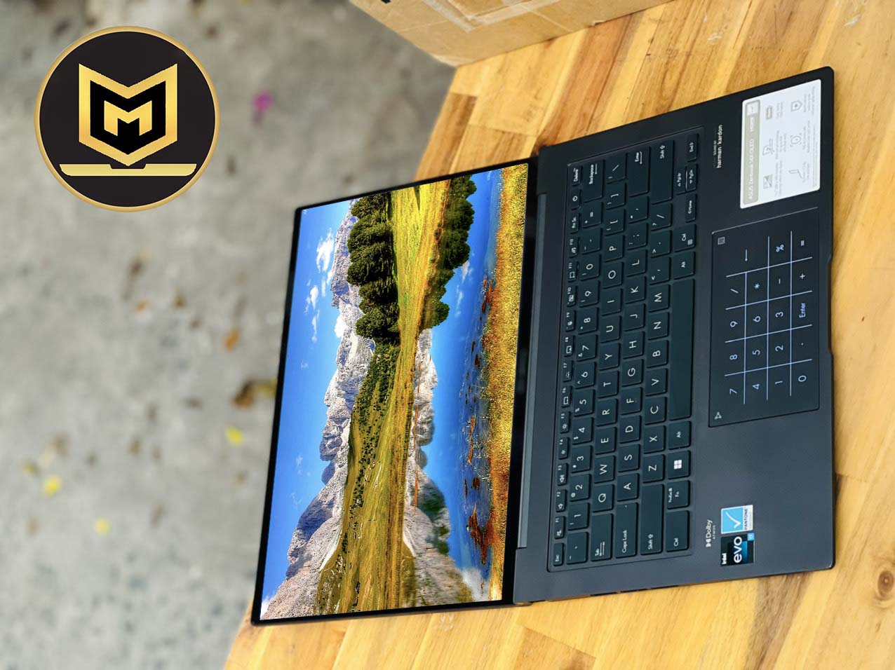 ASUS ZENBOOK 14 Q420VA
