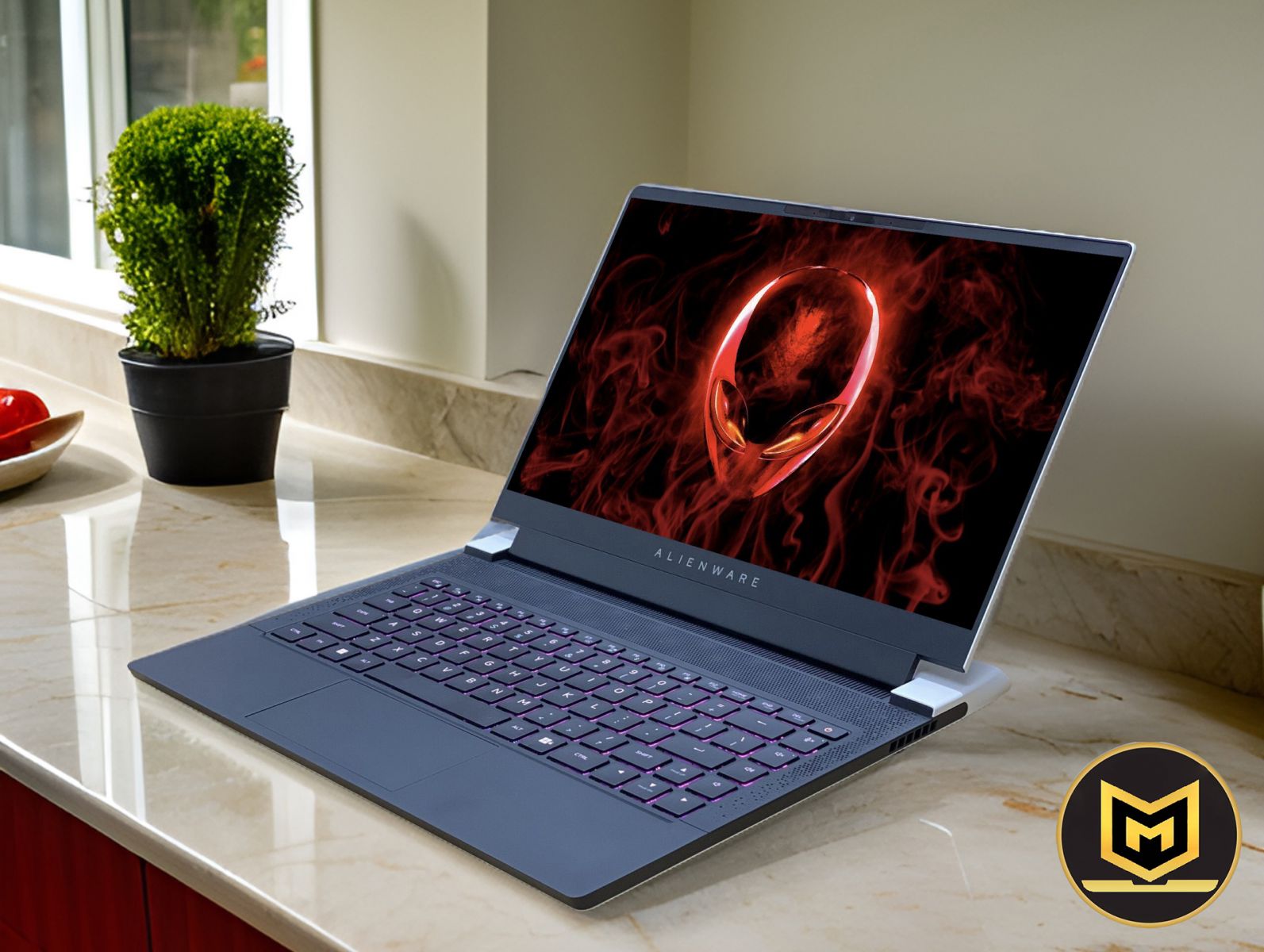 Top 5 Mẫu Laptop Dell Alienware Giá Rẻ Đáng Mua